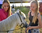 Festival op het eiland di 18 juli 2017