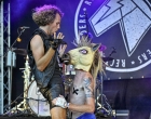Festival op het eiland | Rectum Raiders