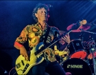 Festival op het eiland | Tuxeso Buck