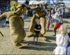 Festival op het eiland vr 21 juli 2017