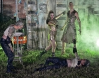 Festival op het eiland | Young Gangsters
