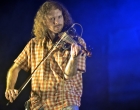 Festival op het eiland | The Wetnecks