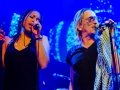 Gotcha! | LuxorLive Arnhem