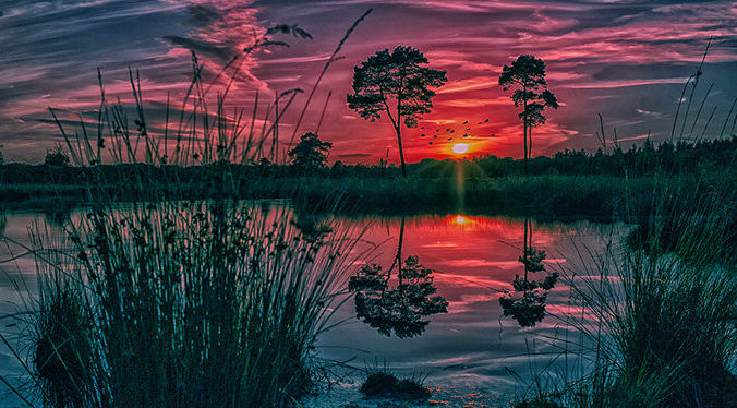 Hatertse en Overasseltse Vennen || Foto © Henk Beenen